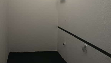 C3687 7.jpg